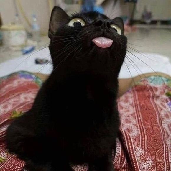 Meet your Posher, Mark - Picture 1 of 1